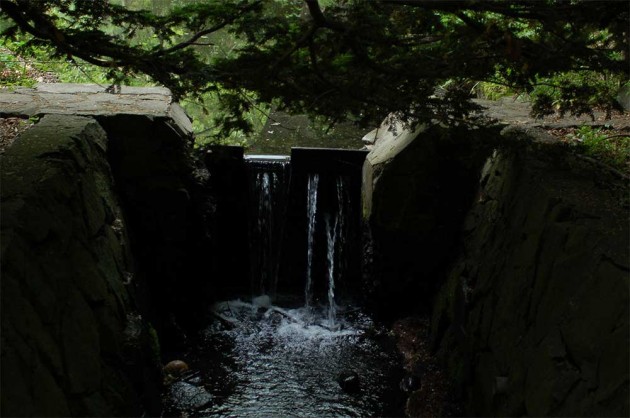 Maruyama park