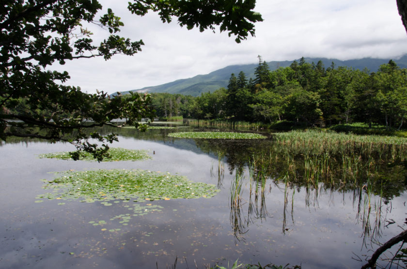 A Guide to Walking the Shiretoko Goko Lakes