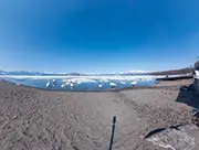 Adorable Swans of Lake Kussharo in Spring, 24 March 2024