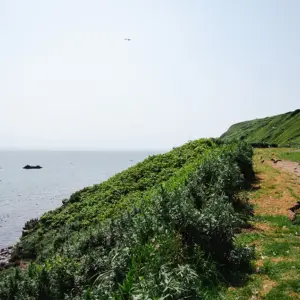 Kurosaki Coast