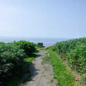 footpath to the bird observatory