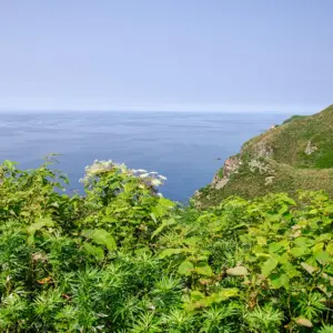 a view from the bird observatory