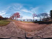 Lake Toya in the Deepening Autumn, 7th November 2022