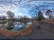 Ohno Pond at Hokkaido University, 4 December 2021