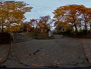 Maruyama Park in Autumn, 31 October 2021